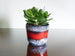 Scheurich planter, blue, black and white lava with red band