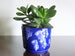 Vintage indoor plant pot, blue and white glaze