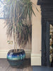 Petronilla large indoor plant pot, blue, black and green layered glaze