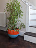 Fernanda large indoor plant pot, bright orange glaze on matt blue