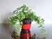 Jopeko planter, red with black and red lava