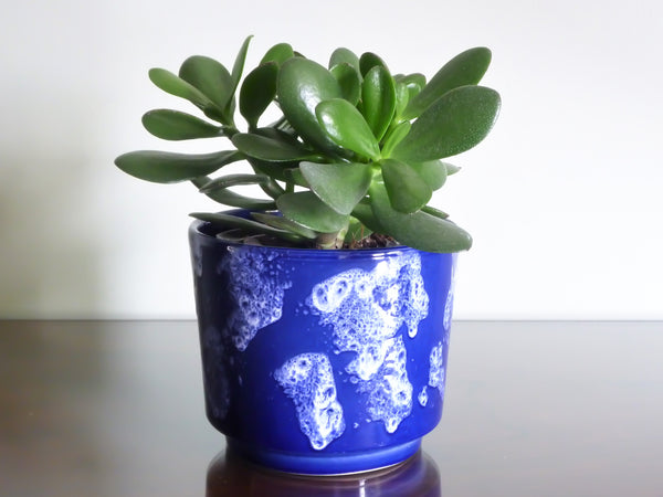 Vintage indoor plant pot, blue and white glaze
