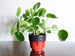 ES Keramik planter, red and black lava drip