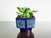 Strehla rectangular planter, blue and green glaze