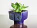 Strehla rectangular planter, blue and green glaze