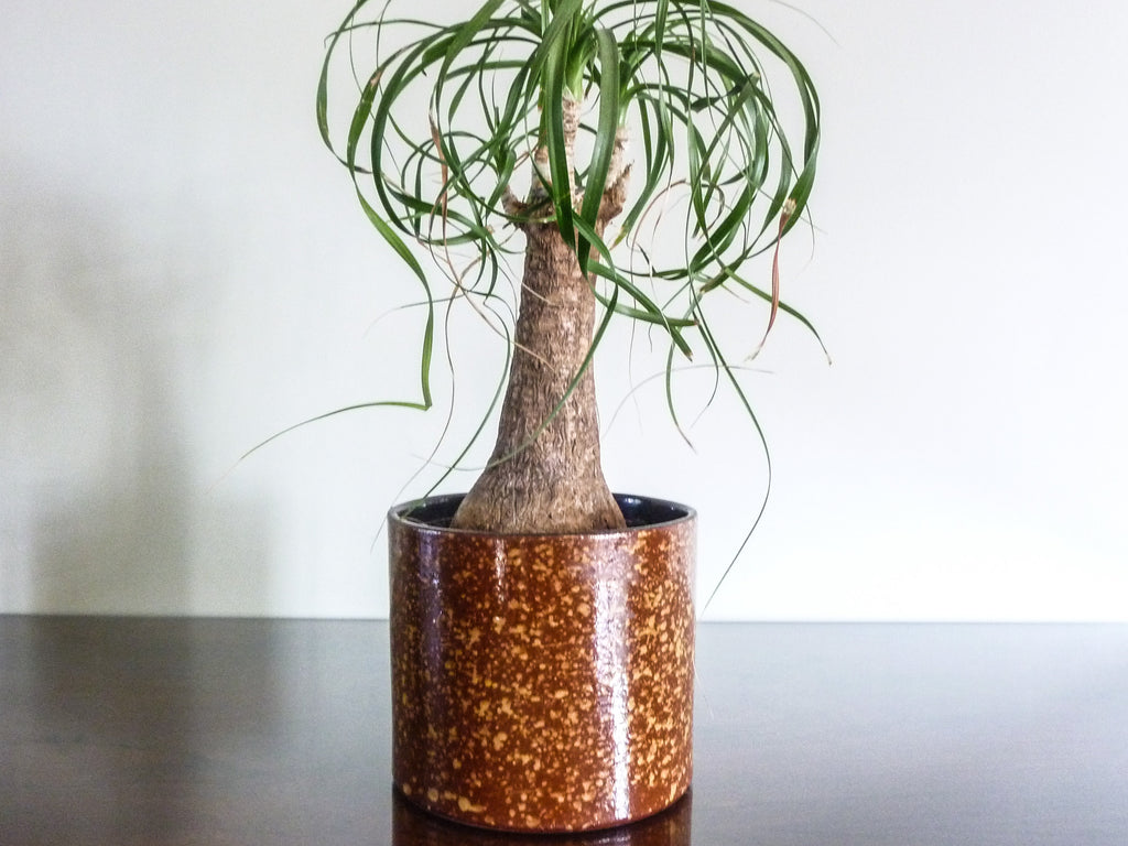 Vintage Marei indoor plant pot, brown and gold splatter decoration