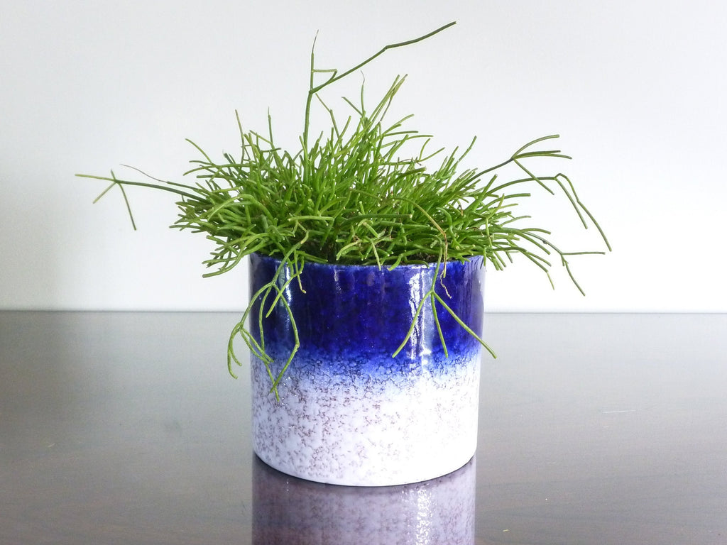 Vintage Marei indoor plant pot, dark blue and white crackle decoration