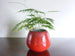 Vintage Waechtersbach indoor plant pot, red and black spotted decoration