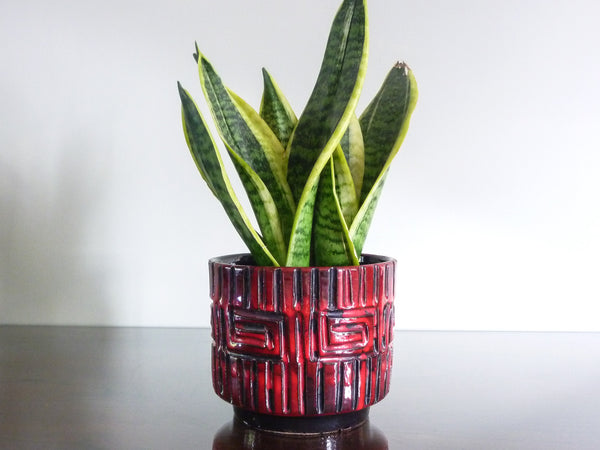 Vintage Fratelli Fanciullacci indoor plant pot with red and black Greek key decoration